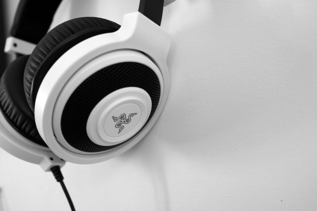 Wired headphones with mic.