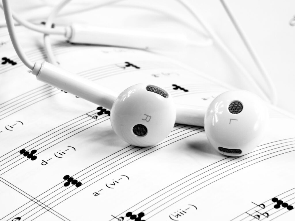 Wired headphones with mic.